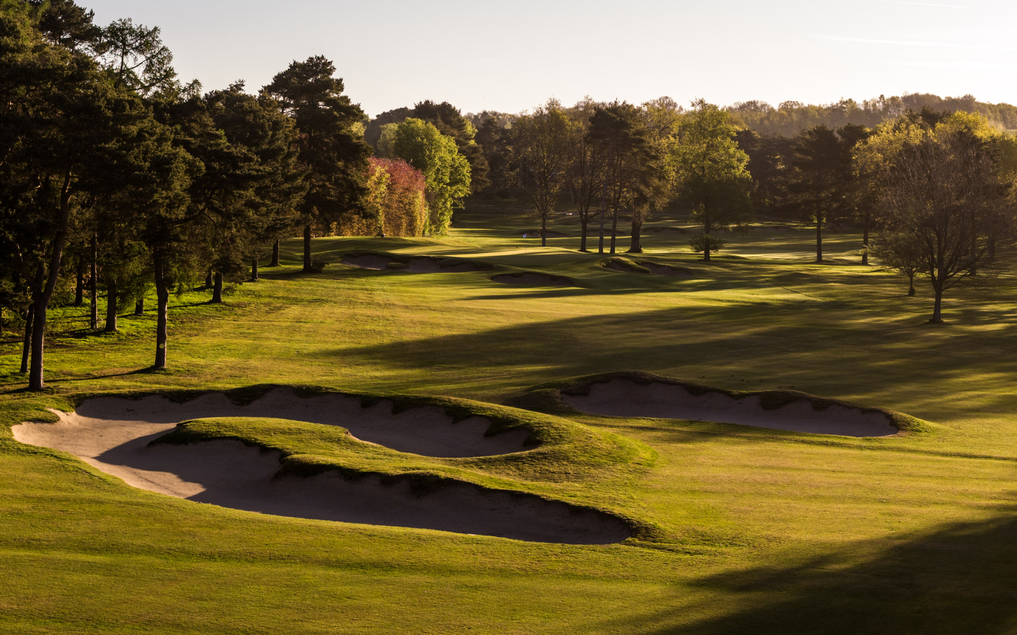 Golf at Blackwell